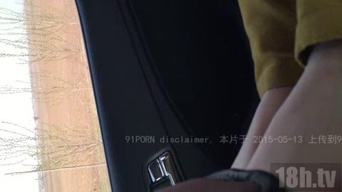 不一样的车震2