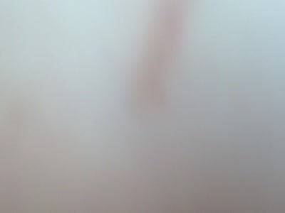 成都黑木耳一