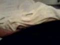Asian Blowjob with some sex