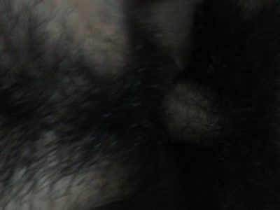 深圳騷女看過來