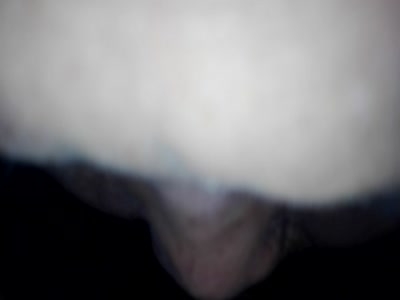 姐姐最愛吃雞巴5手勢驗證