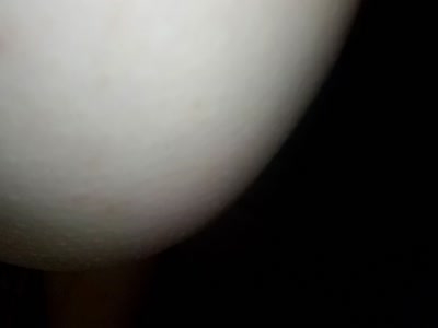 高清愛愛
