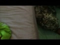 老婆露面換衫